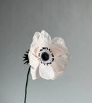 Anemone Single Stem | Handcrafted Paper Flower