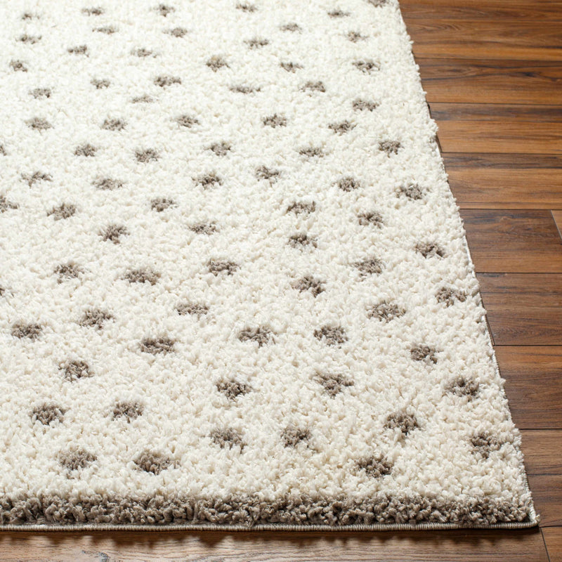 Chaia Dotted Cream & Gray Plush Rug