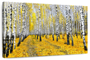 Autumn Birch Forest Trees Wall Art
