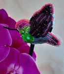 BP-217C Beadwork kit for creating brooch Crystal Art "Fly bird"
