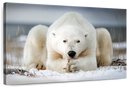 Yoga Polar Bear Wall Art
