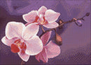 Branch of Orchids WD038 14.9 x 10.6 inches Wizardi Diamond Painting Kit
