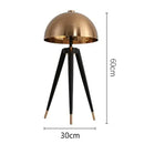 Brass and black coyote gold tripod floor lamp for living room