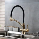 Brass and black dual spout kitchen faucet with dual handles