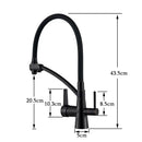 Brass and black dual spout kitchen faucet with dual handles
