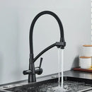 Brass and black dual spout kitchen faucet with dual handles