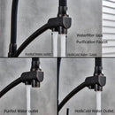 Brass and black dual spout kitchen faucet with dual handles