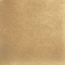 Brass Mixed Dimmer Switch (2-Gang)