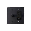 Brass Mixed Dimmer Switch (2-Gang)