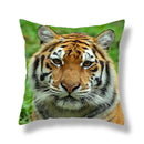 Brave tiger pattern print cushion covers nine pack living room decor