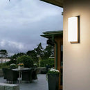 Bright Wall LED Light with 30 Beads in Warm White & White Options