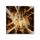 Bronze Tone Divide Canvas