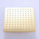 Brushed Gold Square Dual Handle Dual Function Bathroom Shower Set