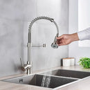 Brushed nickel coiled spring kitchen faucet with pull down sprayer
