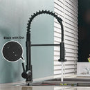 Brushed nickel coiled spring kitchen faucet with pull down sprayer