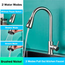 Brushed nickel pull out kitchen faucet with arched spray head