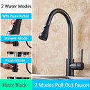 Brushed nickel pull out kitchen faucet with arched spray head