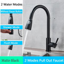 Brushed nickel pull out kitchen faucet with arched spray head