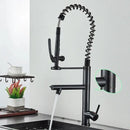 Brushed nickel spring kitchen faucet with pull down spray head