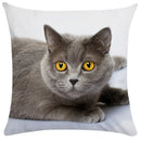 Bubble black cats white square cushion cover living room pillow case