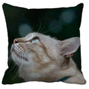 Bubble black cats white square cushion cover living room pillow case