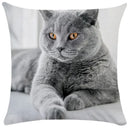 Bubble black cats white square cushion cover living room pillow case