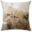 Bubble black cats white square cushion cover living room pillow case