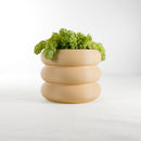 Bubble Planter/ Donut Planter with Drainage