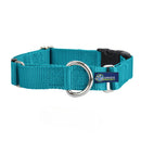 5/8″ and 1″ Teal Nylon Buckle Martingale Dog Collar