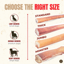 6 Inch Thick Bully Stick