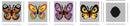 Butterflies 164CS Counted Cross-Stitch Kit