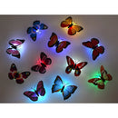 Butterfly Light Sticker for Glowing Wall Decor in Walls and Kids Room