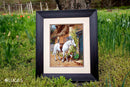 By the Cottage  B572L Counted Cross-Stitch Kit