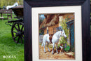 By the Cottage  B572L Counted Cross-Stitch Kit