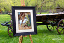 By the Cottage  B572L Counted Cross-Stitch Kit