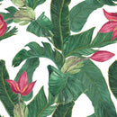 Green Leaves Wallpaper