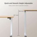 Electric Height Adjustable Desk 55 X 24 Memory Preset