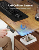 48x24 Inch Electric Standing Desk With Adjustable Height