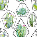 Cactuses and Succulents Wallpaper