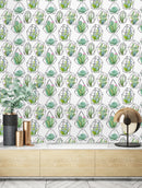 Cactuses and Succulents Wallpaper