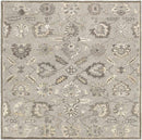 Kinistino Traditional Taupe Area Rug