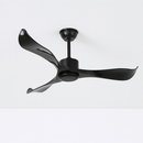 Caelus Ceiling Fan