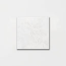 Calacatta T Honed Marble Tiles 5 1/2x5 1/2