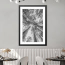 California Red Wood Print