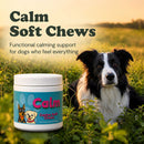 Calm Support Soft Chews for Dogs | Pack of 3 | 60 Chews - 6.35 oz | LivHerbals, Inc.