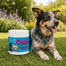 Calm Support Soft Chews for Dogs | Pack of 3 | 60 Chews - 6.35 oz | LivHerbals, Inc.