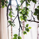 Camellia Green Leaf Stem