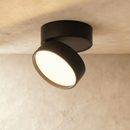 Candis Downlight