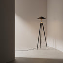 Cane Floor Lamp