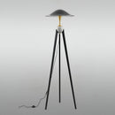 Cane Floor Lamp